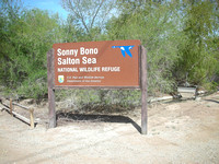 2009 04 Salton Sea JPG