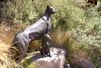 2009 04 Palm Desert Living Zoo and Gardens JPG